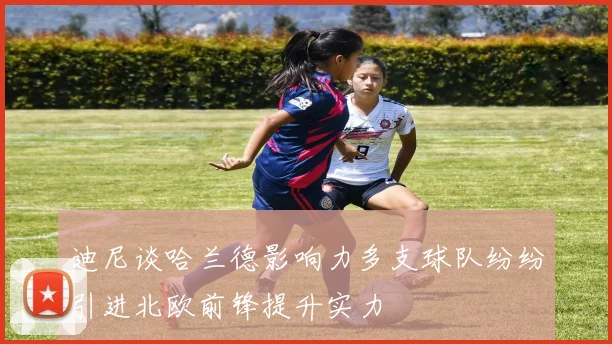 迪尼谈哈兰德影响力多支球队纷纷引进北欧前锋提升实力