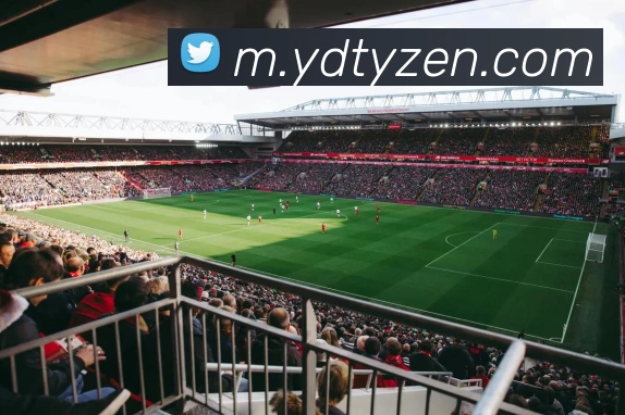 App Interface Preview