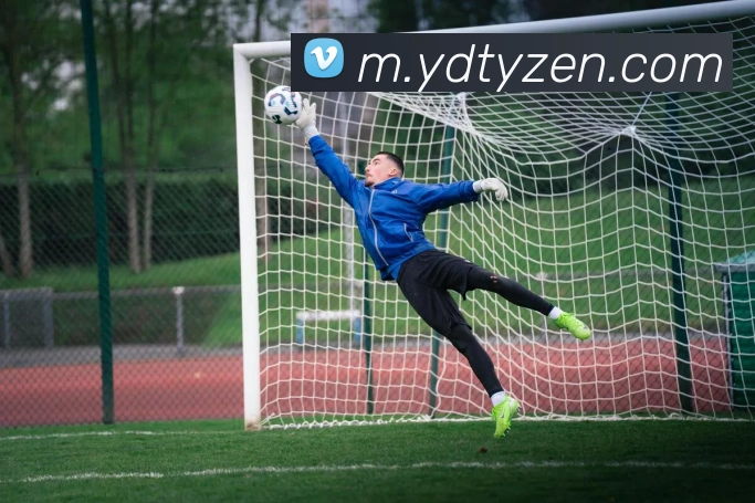 亿德体育APP 封面图